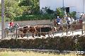 Aldeia Velha 2015 21